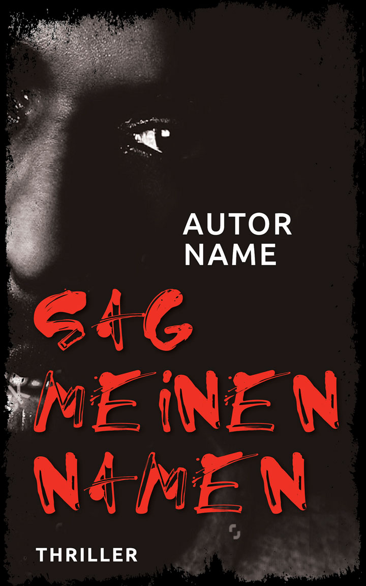 premade buchcover  krimi thriller